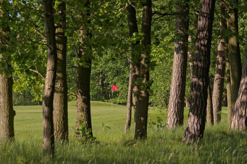 GolfResort Semlin Am See - Aktivite