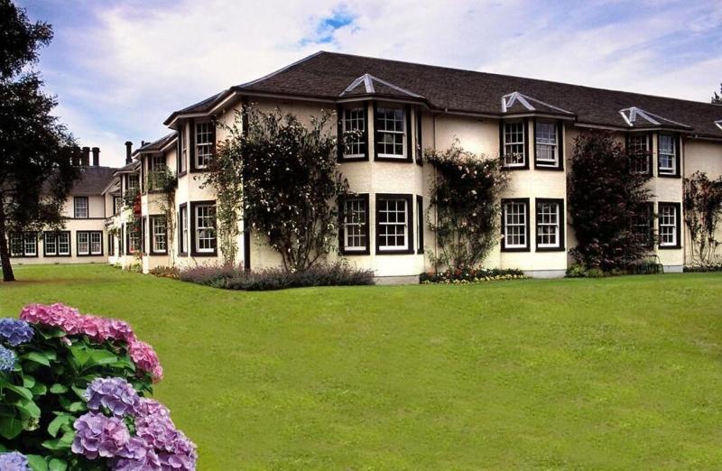 Green Hotel - Genel