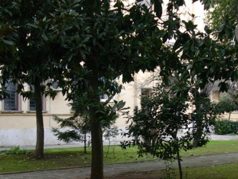 Albergo Bellavista - Genel