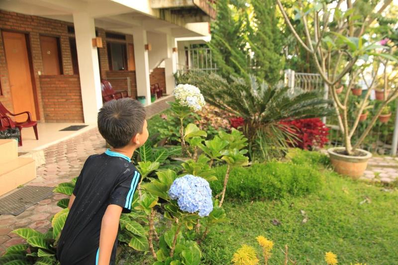 Pandu Lakeside Parapat Hotel - Genel