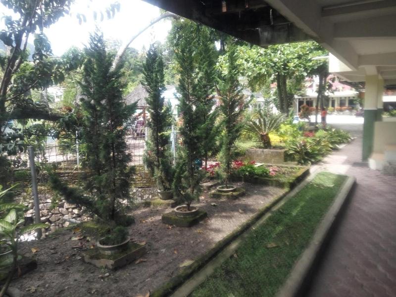 Pandu Lakeside Parapat Hotel - Genel