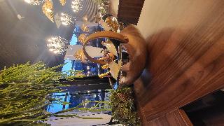 Rubens Hotels & Spa fotoÄŸrafÄ±