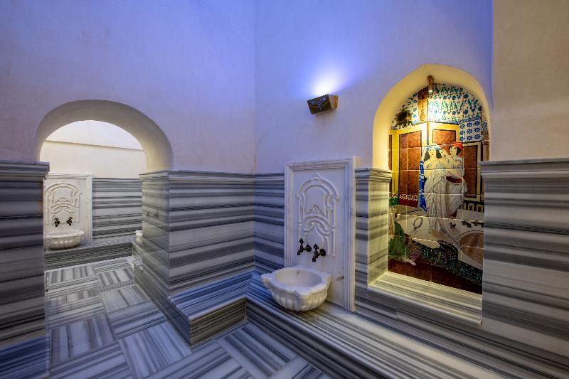 Bvs Bosphorus Pera Hotel Istanbul - Genel