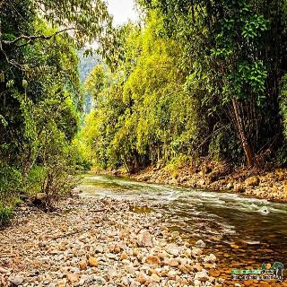 Khao Sok Cabana Resort fotoÄŸrafÄ±
