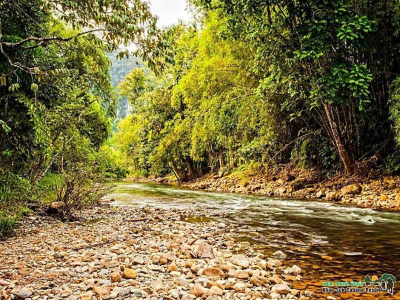 Khao Sok Cabana Resort - Genel