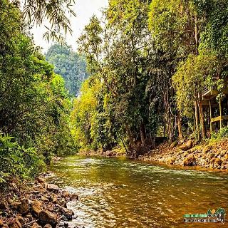 Khao Sok Cabana Resort fotoÄŸrafÄ±