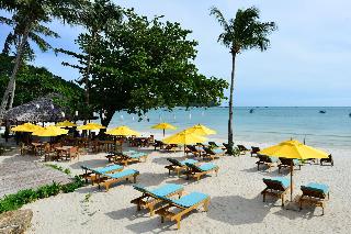 Pingchan Koh Phangan Beachfront Resort fotoÄŸrafÄ±