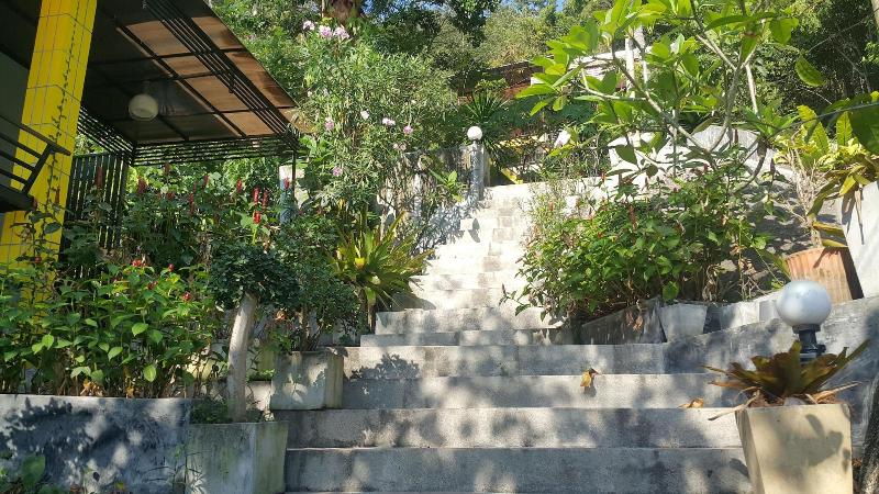 Greenery Resort - Genel