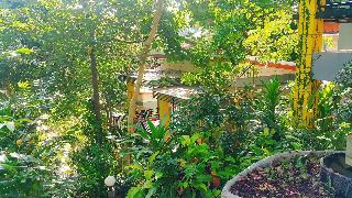 Greenery Resort fotoÄŸrafÄ±