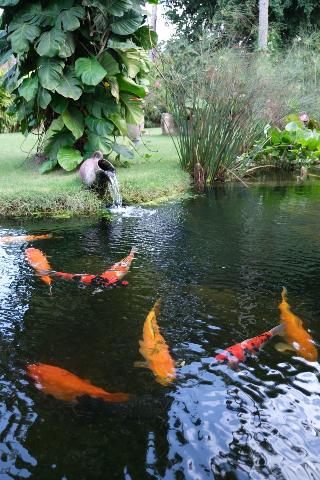 Jivana Resort fotoÄŸrafÄ±