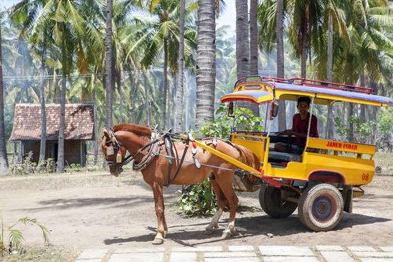 Villas Edenia Resort - Lobi