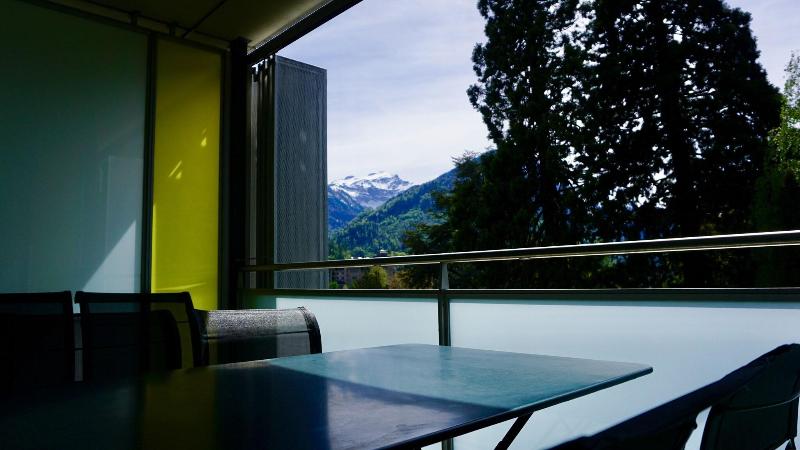 Hapimag Resort Interlaken - Teras