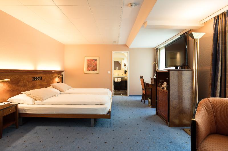 Engimatt City-Gardenhotel - Oda