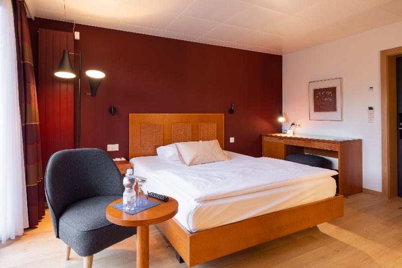 Engimatt City-Gardenhotel - Oda