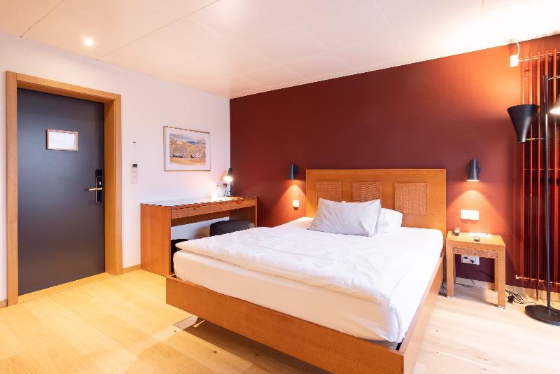 Engimatt City-Gardenhotel - Oda