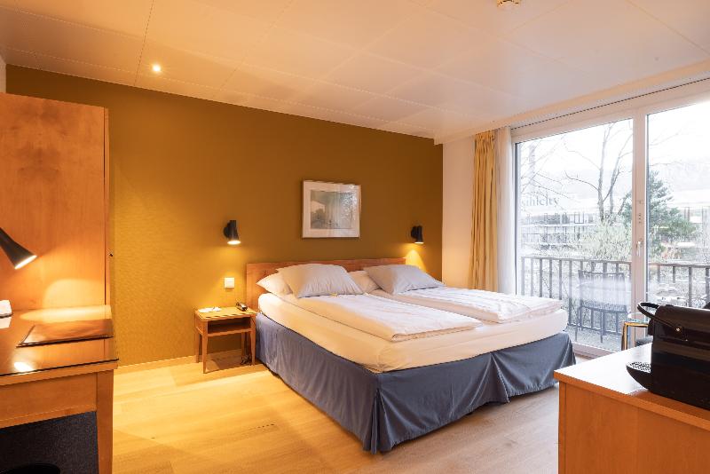 Engimatt City-Gardenhotel - Oda