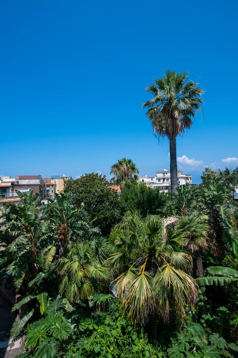 Don Giulio Luxury Rooms - Genel