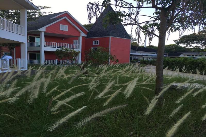 Peggy S Cove Resort - Genel