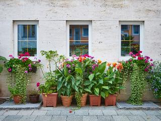 Hotel Alfa fotoÄŸrafÄ±