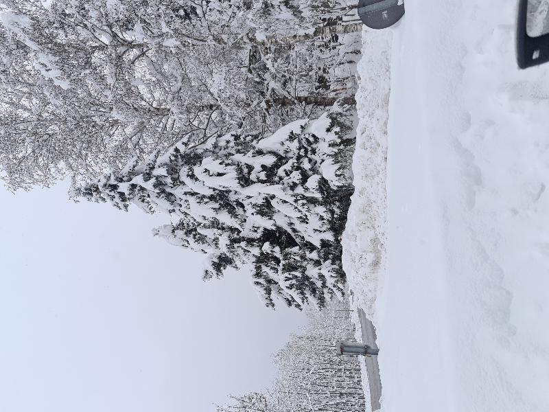 Topazio - Genel