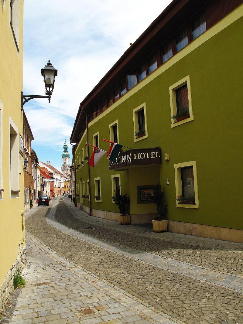 Palatinus Hotel - Genel
