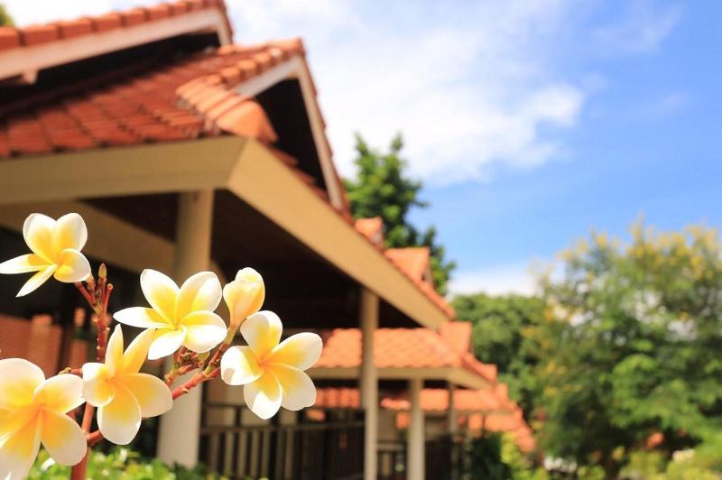 Aquavana Haad Rin Resort - Genel