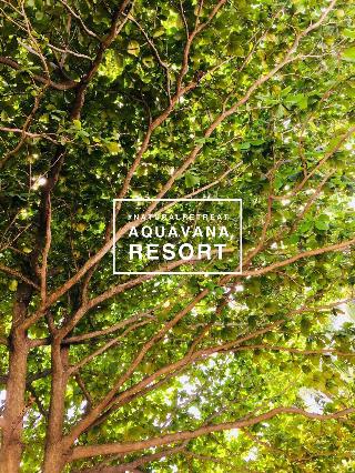 Aquavana Haad Rin Resort fotoÄŸrafÄ±