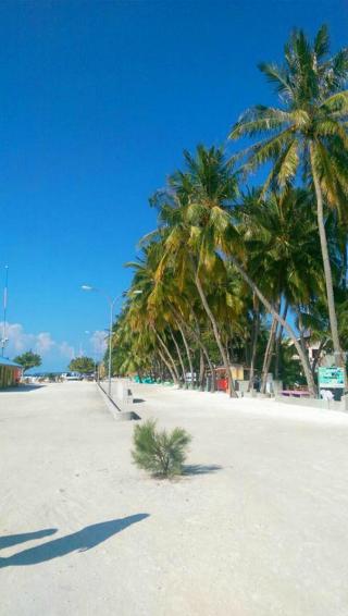 Alaka At Maafushi fotoÄŸrafÄ±