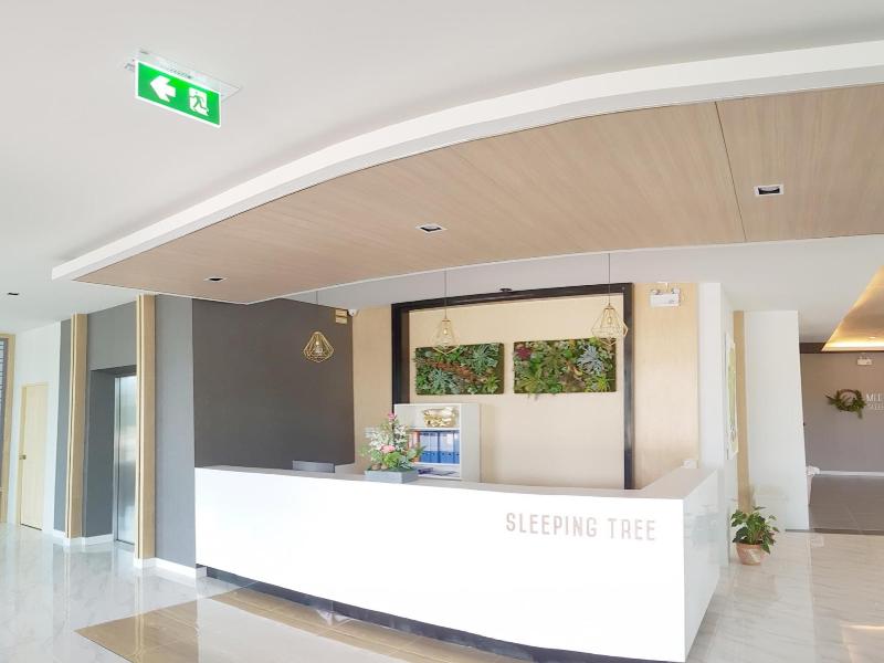 Sleeping Tree Hotel - Lobi
