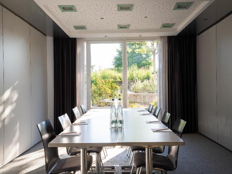 Radisson Hotel Zurich Airport - Toplantı