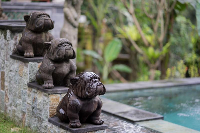 Ketut S Place Villas Ubud - Aktivite