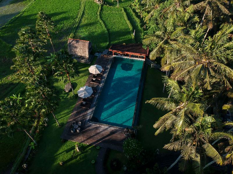 The Artini Resort - Havuz
