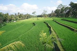 Kenran Resort Ubud By Soscomma fotoÄŸrafÄ±