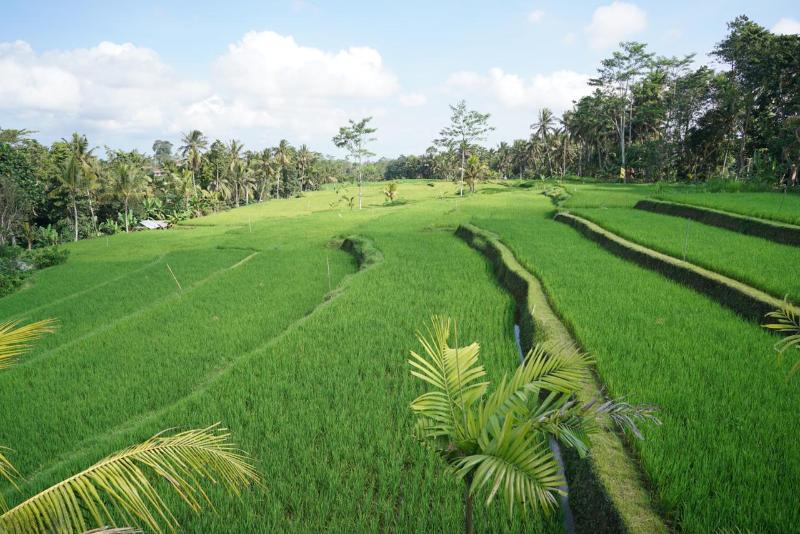 Kenran Resort Ubud By Soscomma - Teras
