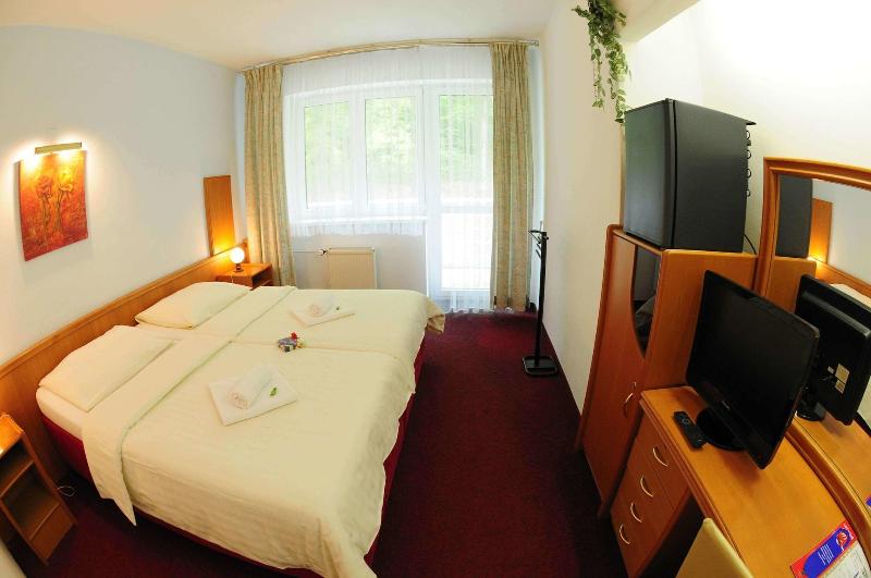 Interhotel America - Oda