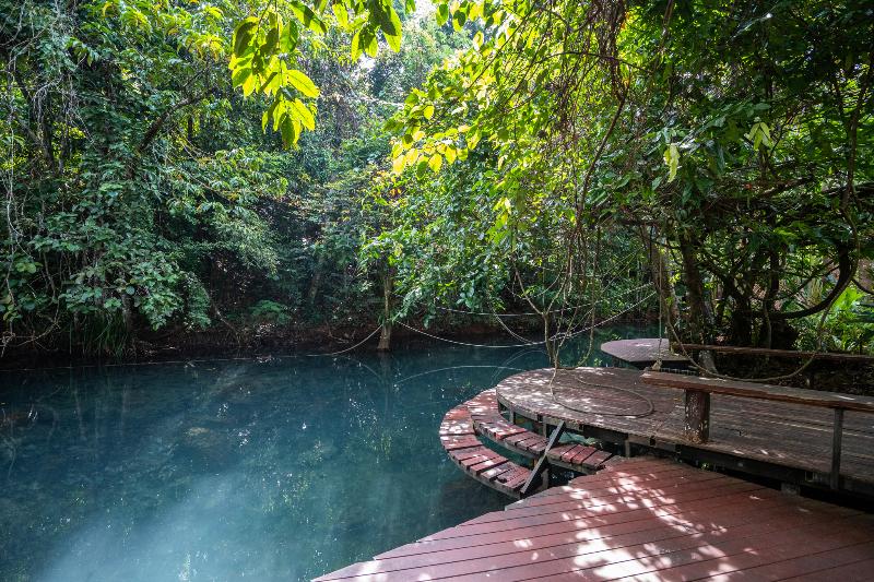 Blu Monkey Pooltara Krabi Hotel & Villas - Aktivite