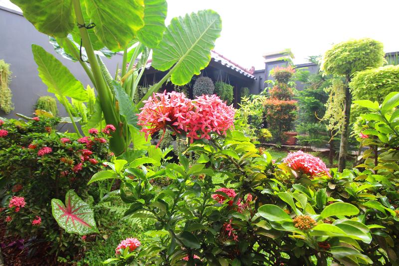 OYO 2286 Wisma Laut Tawar - Lobi
