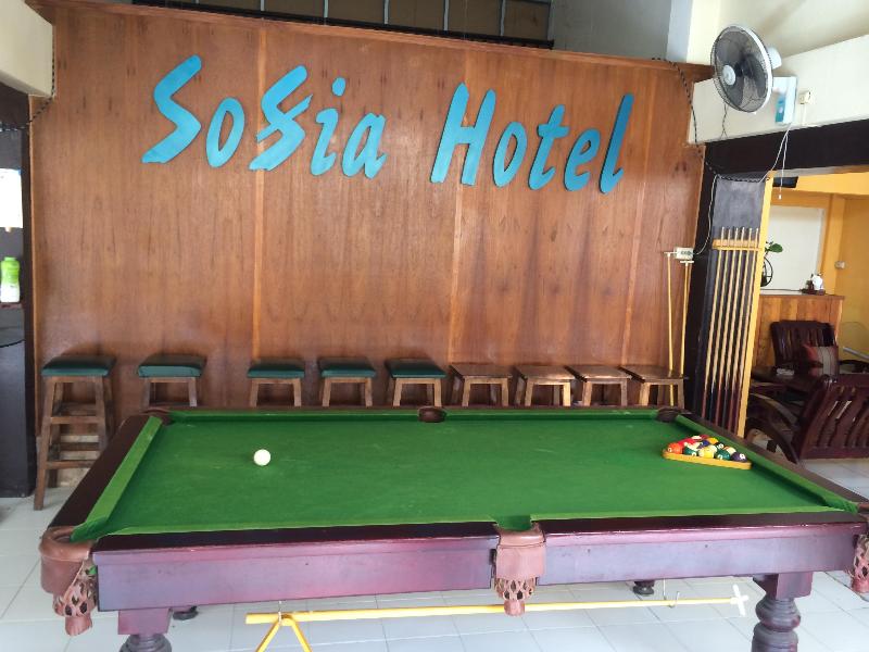 Sofia Hotel - Lobi