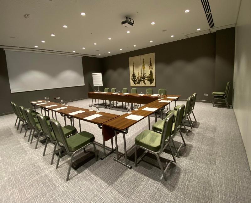 Hilton Garden Inn Tbilisi - Toplantı