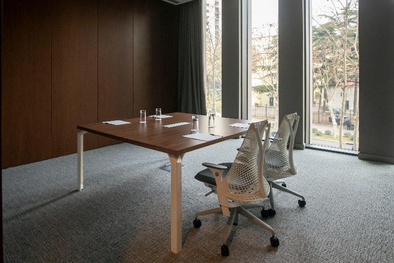 Hilton Garden Inn Tbilisi - Toplantı