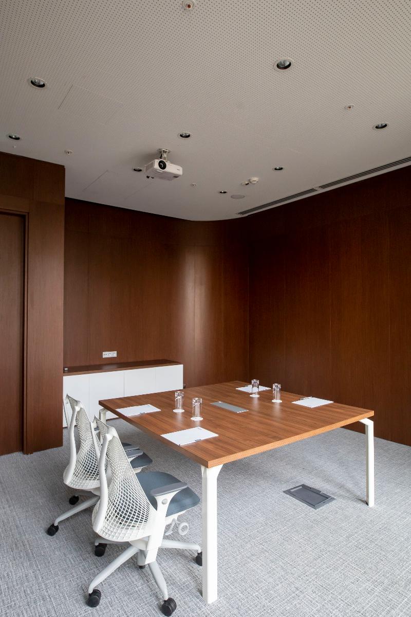 Hilton Garden Inn Tbilisi - Toplantı