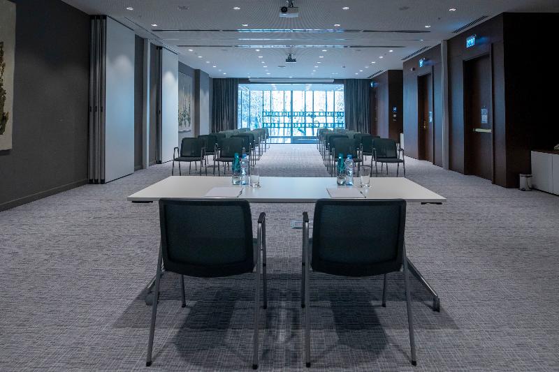 Hilton Garden Inn Tbilisi - Toplantı