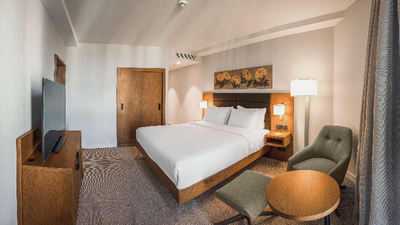 Hilton Garden Inn Tbilisi - Oda