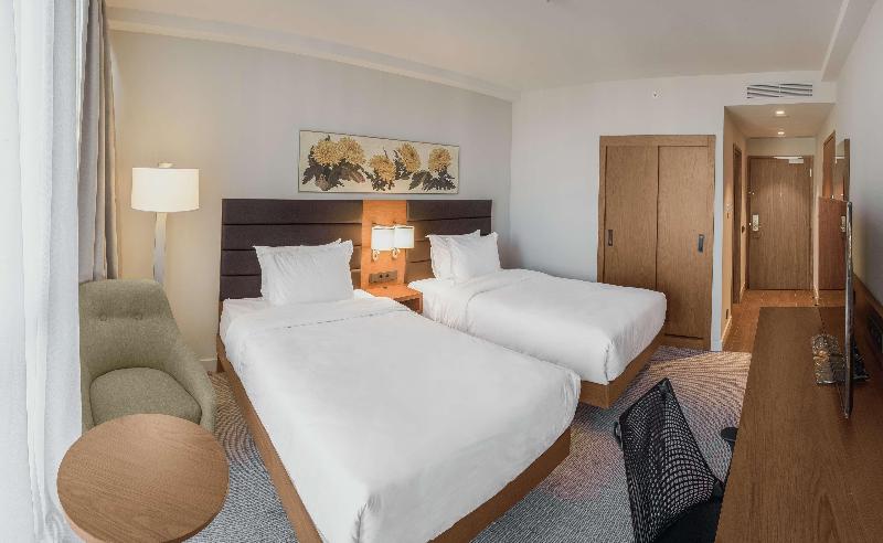 Hilton Garden Inn Tbilisi - Oda