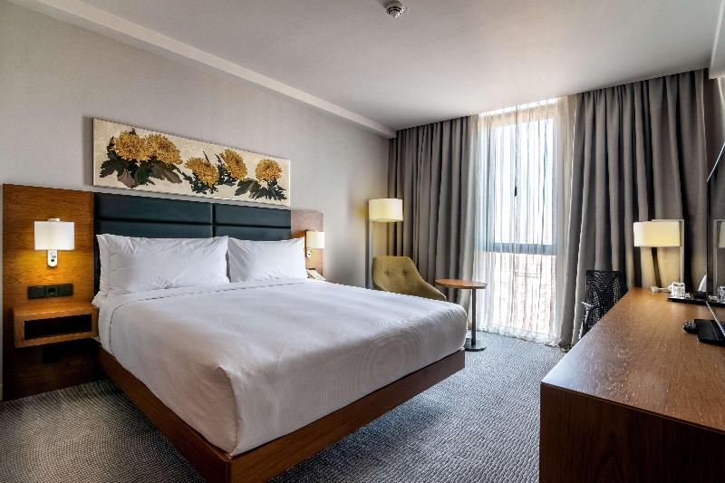 Hilton Garden Inn Tbilisi - Oda