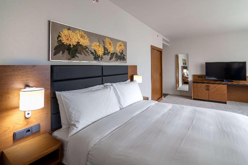 Hilton Garden Inn Tbilisi - Oda