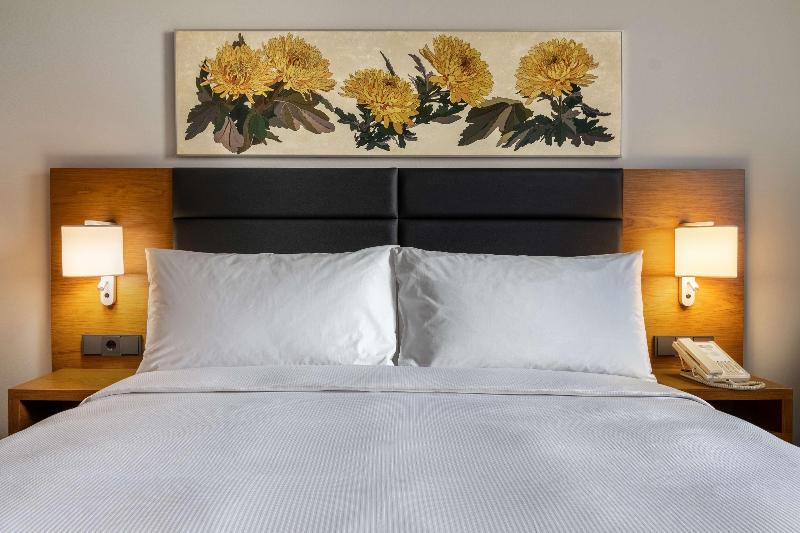 Hilton Garden Inn Tbilisi - Oda