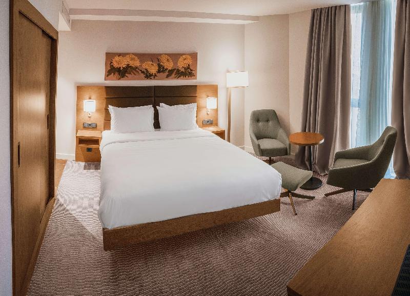 Hilton Garden Inn Tbilisi - Oda