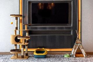 Kimpton Maa-Lai Hotel Bangkok fotoÄŸrafÄ±