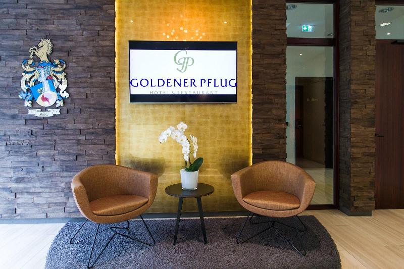 Hotel and Restaurant Goldener Pfug - Lobi